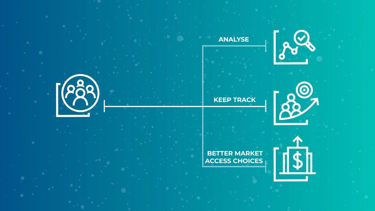 Market Access Consulting